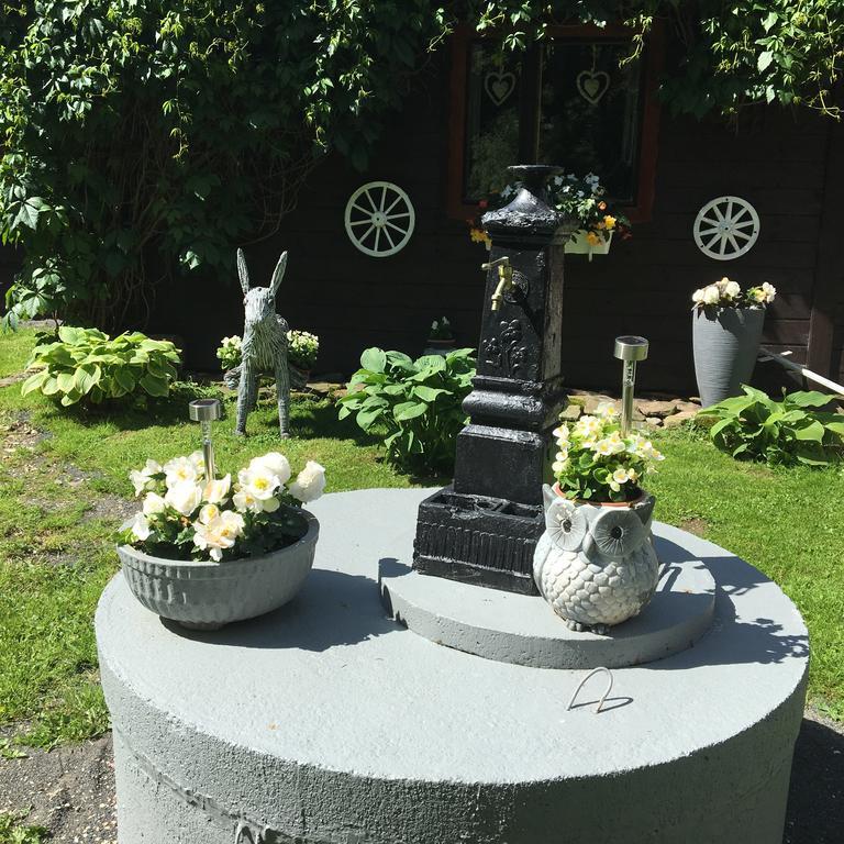 Ranczo Frodyma Bed & Breakfast Stronie Śląskie Eksteriør bilde