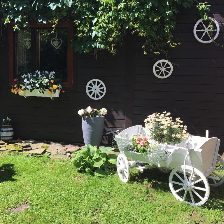 Ranczo Frodyma Bed & Breakfast Stronie Śląskie Eksteriør bilde