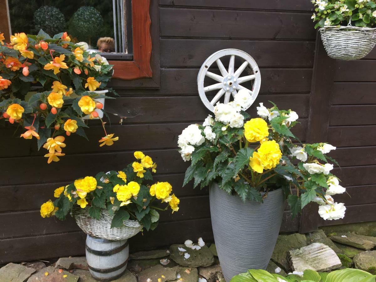 Ranczo Frodyma Bed & Breakfast Stronie Śląskie Eksteriør bilde