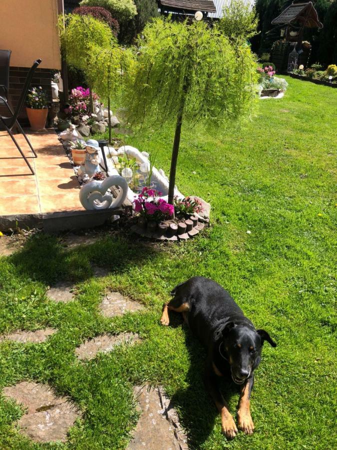 Ranczo Frodyma Bed & Breakfast Stronie Śląskie Eksteriør bilde